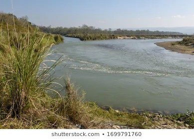 दाउरा खोज्न जाने क्रममा राप्ती नदीले बगाउँदा भरतपुरकी एक महिला मृत फेला , एकजना बेपत्ता