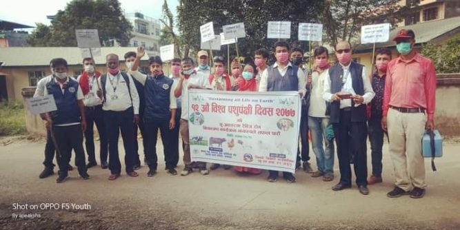 विश्व पशुपन्छी दिवसमा विनयी त्रीवेणिमा १५३ कुकुरलाइ रेबिजको सुइ