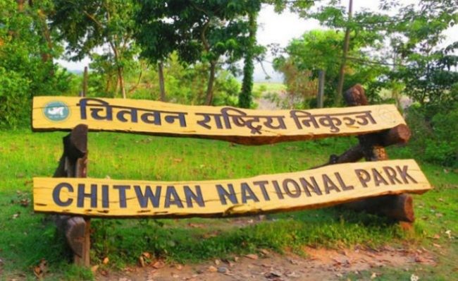 चितवन राष्ट्रिय निकुञ्जमा एकैदिन मरे २ गैँडा