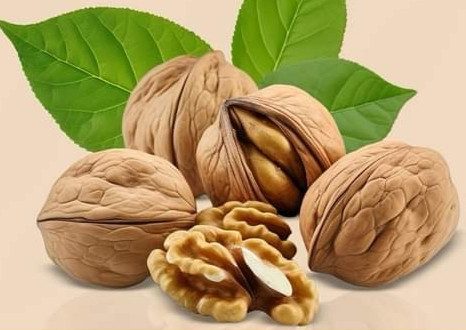 ओखर : सेवन गर्नाले स्वास्थको लागि फाइदै फाइदा