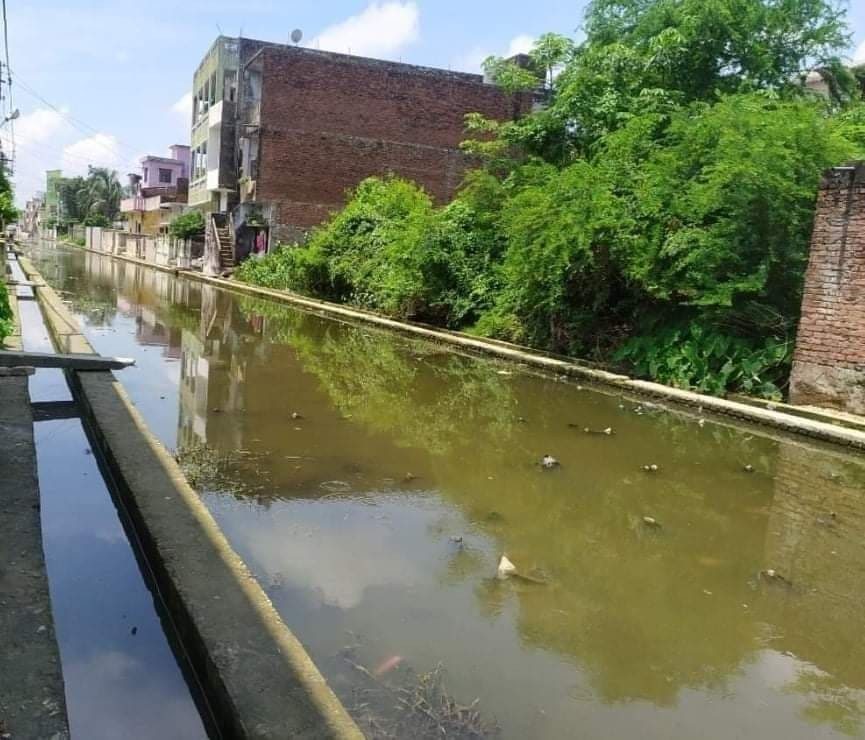 अविरल बर्षाका कारण कृष्णनगर डुबानमा